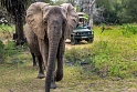 Tanzania, Selous Game Reserve