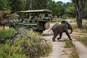 Tanzania, Selous Game Reserve (2)