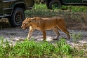 Tanzania, Selous Game Reserve (5)