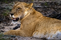 Tanzania, Selous Game Reserve (7)