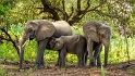 Tanzania, Selous Game Reserve (14)