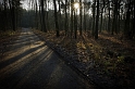 Poland, Poznań, Morasko Meteorite Reserve