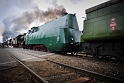 Poland, Wolsztyn, Parade of steam engines