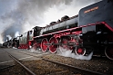 Poland, Wolsztyn, Parade of steam engines (2)