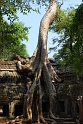 Ta Prohm