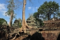 Ta Prohm (3)