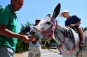 ten osiołek raczej nie da rady dojechać na szczyt Troodos, ale spróbować zawsze warto