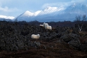 Jezioro Mývatn, jaskinia Grjótagjá