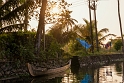 Alleppey Backwaters, Kerala (5)