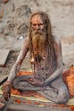 sadhu wyruszają ze swoich samotni, aby zaprezentować na Kumbh Mela swoje jogiczne i akrobatyczne umiejętności zdobyte dzięki latom wyrzeczeń, ćwiczeń i pełnych poświęcenia praktyk religijnych