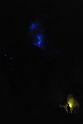 Jawa, Kawah Ijen, blue lights