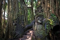 Bali, Ubud Monkey Forest