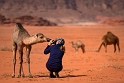 Wadi Rum (8)