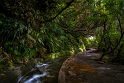 Levada do Alecrim