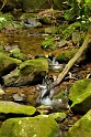 Kinabalu National Park (5)