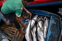 Male, fish market