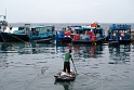 Male, fish market (4)