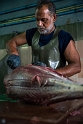 Male, fish market (6)