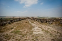 Volubilis - ruiny rzymskiego miasta Tingitana