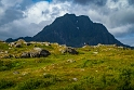 Lofoten, Offersøykammen