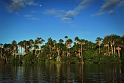 Amazonia, Rezerwat Narodowy Tambopata