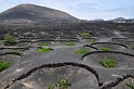 Lanzarote, La Geria