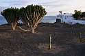 Lanzarote - wieczór w Costa Teguise