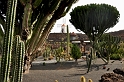 Lanzarote, Jardin de Cactus