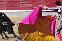 Plaza de Toros de las Ventas (5)