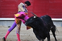 Plaza de Toros de las Ventas (7)