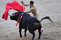 Plaza de Toros de las Ventas (11)