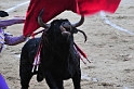 Plaza de Toros de las Ventas (14)