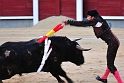 Plaza de Toros de las Ventas (6)