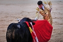 Plaza de Toros de las Ventas (15)