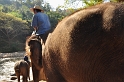 Mae Taman Elephant Camp