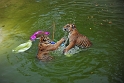 Tiger Temple