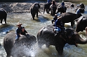 Mae Taman Elephant Camp (2)