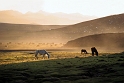 Langmusi Horse Trekking - zachód słońca